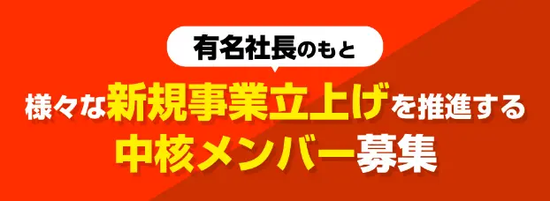 様々な新規事業立上げを推進する中核メンバー募集