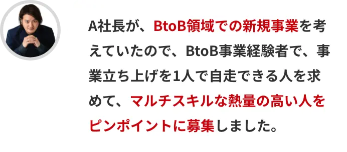 A社長が、BtoB領域での新規事業を考えていたので、BtoB事業経験者で、事業立ち上げを1人で自走できる人を求めて、マルチスキルな熱量の高い人をピンポイントに募集しました。
